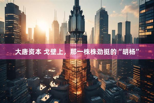 大唐资本 戈壁上，那一株株劲挺的“胡杨”