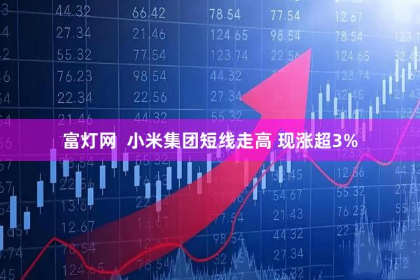 富灯网  小米集团短线走高 现涨超3%
