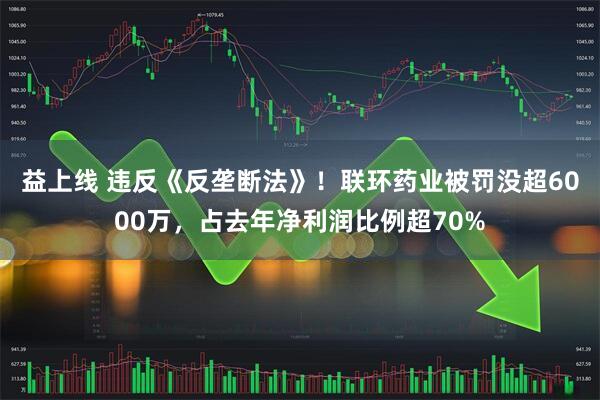 益上线 违反《反垄断法》！联环药业被罚没超6000万，占去年净利润比例超70%