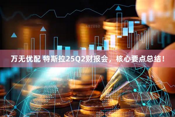 万无优配 特斯拉25Q2财报会，核心要点总结！