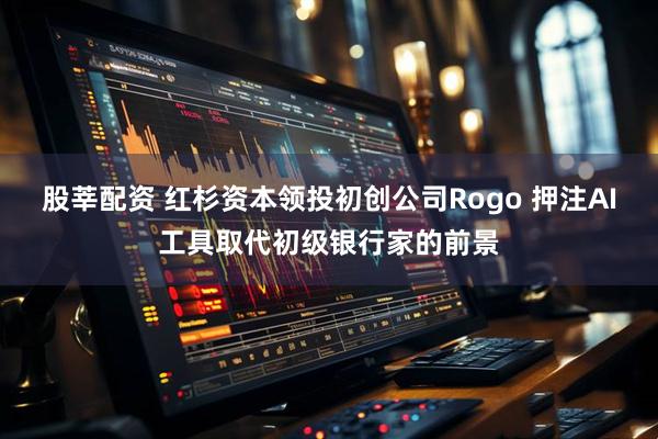 股莘配资 红杉资本领投初创公司Rogo 押注AI工具取代初级银行家的前景